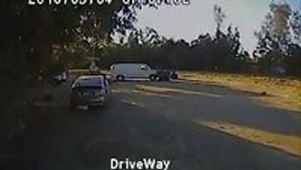 Rottweiler saves Chihuahua from Coyote