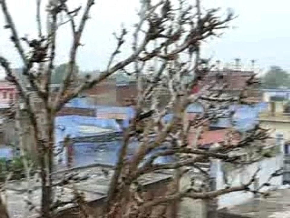 09.02.2007 075.avi