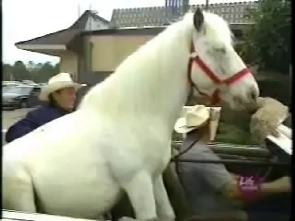 At arabası