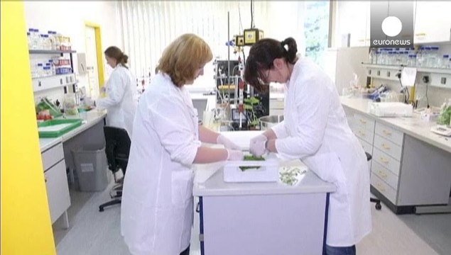 El virus del Ébola sigue extendiéndose por África occidental. Nigeria ha informado de un nuevo caso y ya son 10 personas las que se han contagiado con el virus en el país. 3 de ellas han muerto.