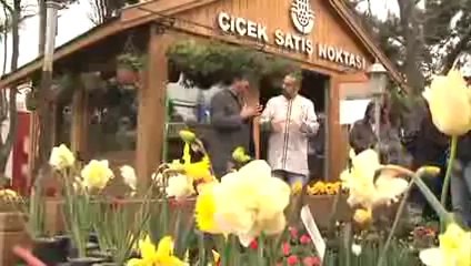 خواطر 8.5 - الحلقة 3 - أُنس للناس-1