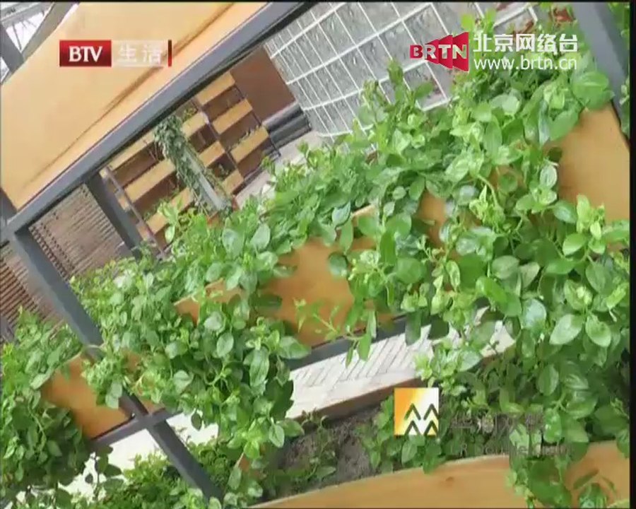 20140815 健康生活 2014-08-15